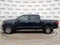 2023 Ford F-150 XLT 4WD SuperCrew 5.5 Box